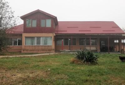 Vanzare casa P+M Letca Veche, teren 1.587 mp, comision 0% - 2