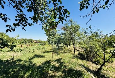 Teren Construcții intravilan de 6210 mp, în Apateu - 20