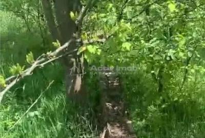 Teren de 500 mp, în Găneasa