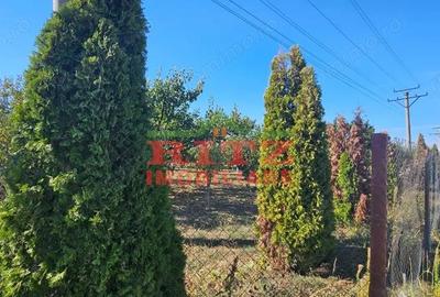 Teren de 56800 mp, în Fărcașele - 11