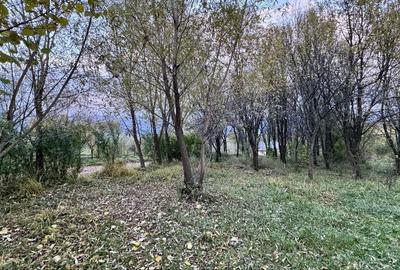 Spațiu comercial, în Feleacu - 4