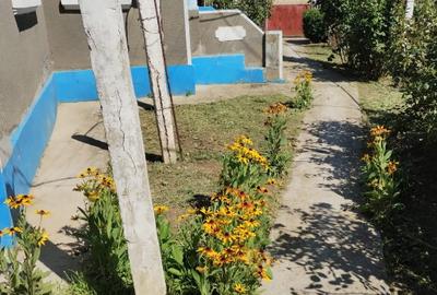 Casa in satul Zebil cu vedere superba spre lacul Babadag - 16