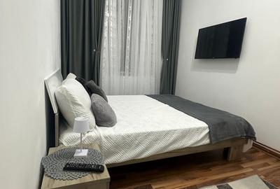 Apartament cu 2 camere decomandat, mobilat în P-ța Maria - 1