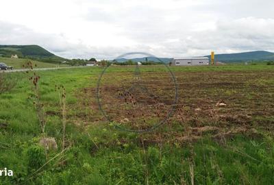 Spațiu comercial, în Șintereag - 5