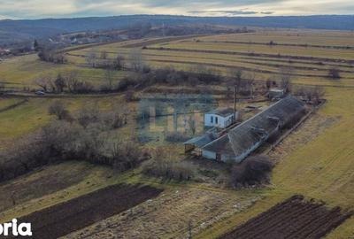 Teren de 7400 mp, în Căpușu Mare - 4
