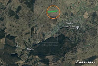 Teren extravilan in Feiurdeni, 17400 mp, expunere sudica