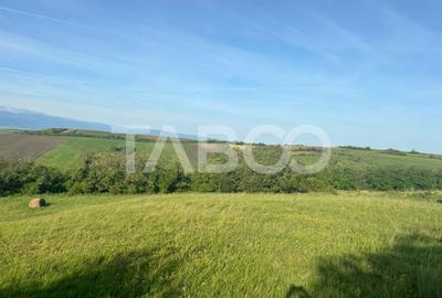 Teren de vanzare intravilan 8900mp Sura Mare zona deosebita - 4