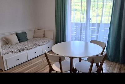 Apartament cu 2 camere semidecomandat în Chinteni - 2