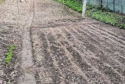 Casă cu 2 camere cu Teren 1628 Mp în Central - 13