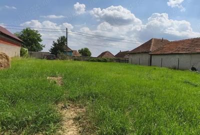 Teren în Tășad - 7