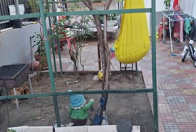 Chitila Casa Individuala 4 Camere - 16