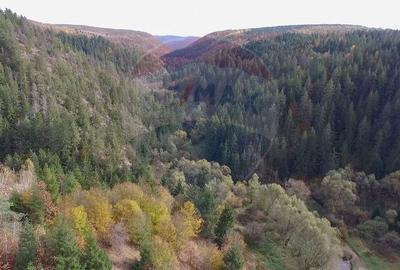 Teren agricol extravilan de 340000 mp, în Căpușu Mare - 3