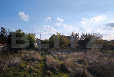 Teren Construcții intravilan de 1600 mp, în Cernele - 2