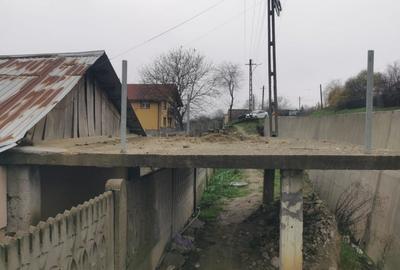 Casă individuală cu 4 camere cu Teren 7000 Mp în Argetoaia - 3