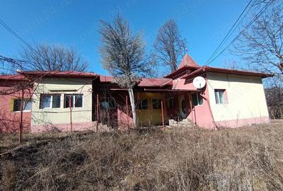 Proprietatea ta la Blidari 12 km de Ramnicu Valcea,constructii:235mp+109mp si teren7277mp intravilan - 2