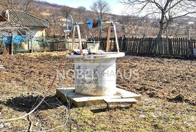 Casă cu 4 camere cu Teren 9528 Mp în Șișcani - 9