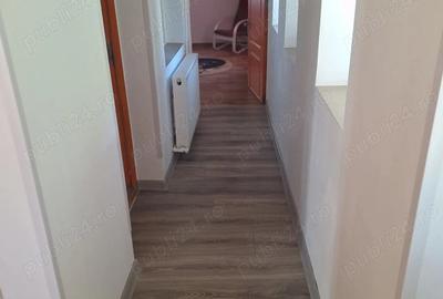 Casă cu Teren 2115 Mp în Urseiu