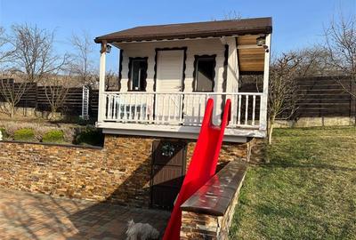 Vila 6 camere - 1500mp teren - Bucium - 31