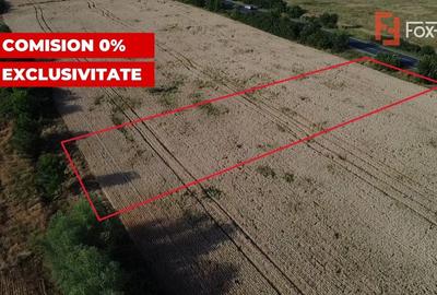 Teren Construcții intravilan de 1600 mp, în Pădureni (Jebel) - 4