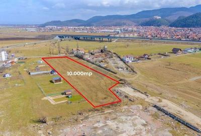 Teren de 10000 mp, în Râșnov - 5