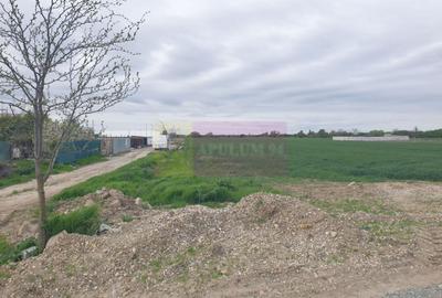 Teren Construcții intravilan de 7567 mp, în Sud - 20