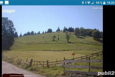 Teren în Fundata - 2