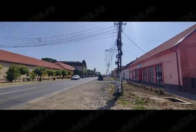 Teren de 2800 mp, în Lovrin - 12