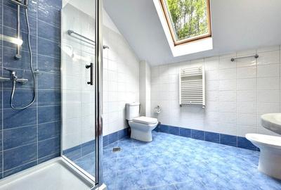Individual villa with swimming pool Iancu Nicolae - 27