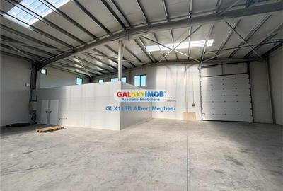 Inchiriere hala depozitare Parc Industrial TBM Rudeni Inchiriere hala depozitare Parc Industrial TBM Rudeni - 2