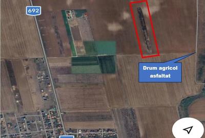 Teren extravilan de vânzare – 2 hectare în Sânandrei - 1