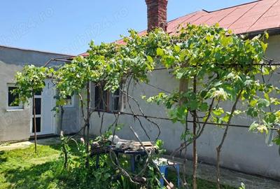 Casă cu 5 camere cu Teren 1375 Mp în Frumușani - 9