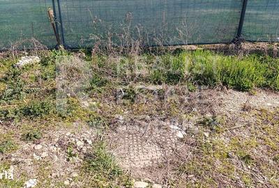 Teren de 1044 mp, în Dudeștii Noi - 2