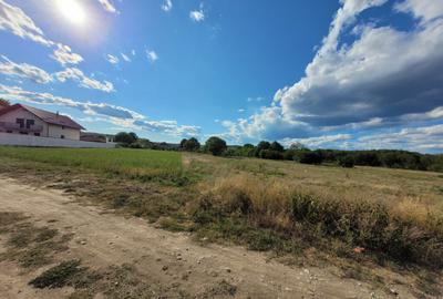 Teren intravilan cu PUZ, situat in Targu-Jiu, Slobozia - 4