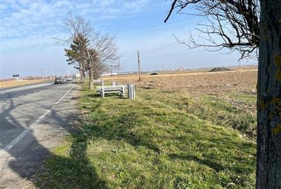 Teren Construcții intravilan de 5985 mp, în Nojorid - 11