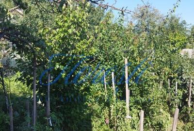 Casă cu 3 camere cu Canalizare în Central - 4