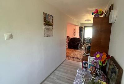 Casa Branistea, an construcție 2012 - 4