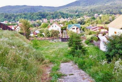 Spațiu comercial, în Aranghel - 2