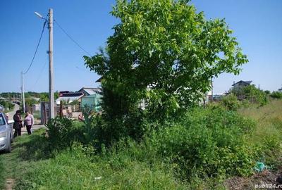 Spațiu comercial, în Găneasa - 2