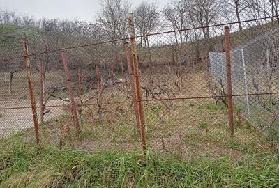 Spațiu comercial, în Central