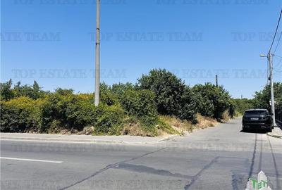 TEREN STRADAL GIULESTI, 50000 mp, la asfalt, intravilan, toate utilitatile, pent - 2