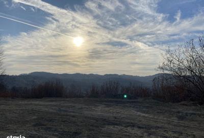 Teren de 1288 mp, în Surdești - 3