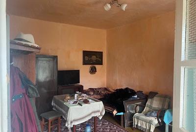 Casă cu Teren 1480 Mp în Liebling - 1