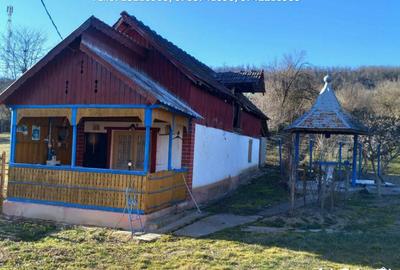 Casa situata in Stejari - Balosani - 1