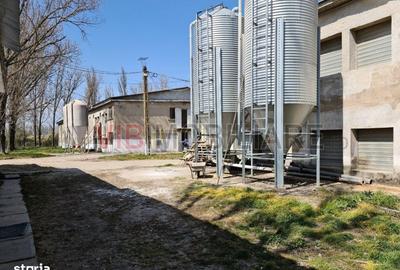 Spațiu comercial, în Sântandrei - 6