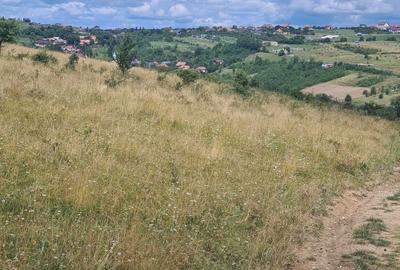 Spațiu comercial, în Sălicea - 3