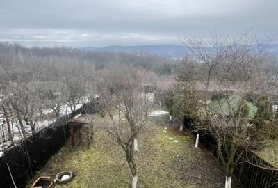 Cabana de lemn- Vatmani - 3