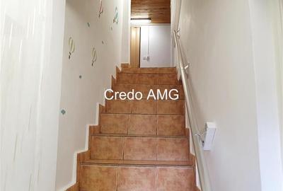 Stefan cel Mare, Vasile Lascar, inchiriere vila singur curte - 7