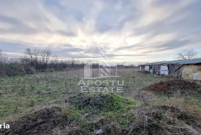 Casă cu 4 camere cu Teren 4414 Mp în Orțișoara - 5