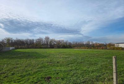 Teren Construcții intravilan de 7200 mp, în Sud - 10