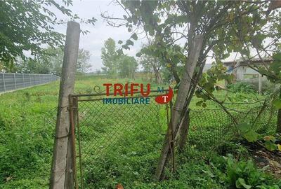 Casă în Totoi cu potențial - 18